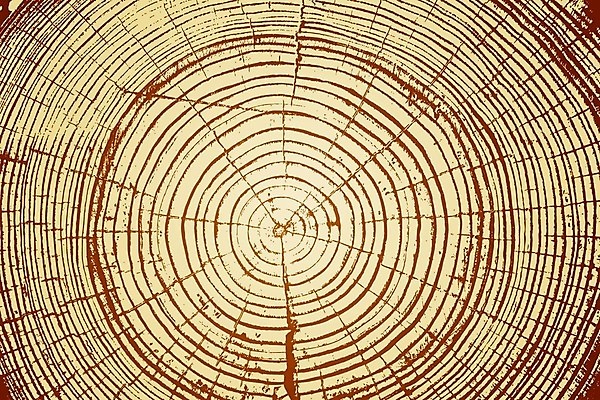 EPS 해외이미지 모양 나무 식물 디자인 물결 선 조각 백그라운드 컨셉 지도 패턴 일러스트 자연 표면 추상 목재 우주 줄무늬 성장 반지 원형 거친 역사 균열 계획 숲 자르기 유기농 질감 지형 잡동사니 다리찢기 내추럴 수목 합판 해외202004 해외일러스트 도형 웰빙 무늬 재료 장신구 모션 생태계 파일형식 벡터 이미지허브