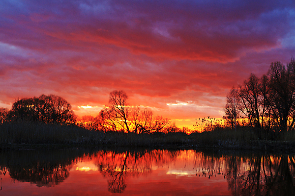 포토 JPG 해외이미지 나무 구름 호수 여행 백그라운드 오렌지 자연 하늘 아침 따뜻함 그림자 풍경 사람없음 야외 빨간색 초록색 물 여름 파란색 빛 강 컬러풀 햇빛 태양 반사 우주 일출 맑음 어둠 일몰 새벽 꿈 회색 젖음 안개 가을 숲 신비 마법 수평선 해외202004 해외포토 주간 자연요소 식물 계절 컬러 컨셉 과일 날씨 노을 생태계 파일형식 이미지허브