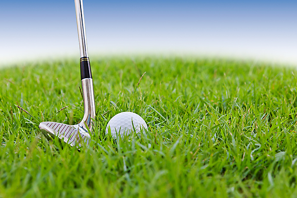 포토 JPG 해외이미지 모양 직업 1 스포츠 백그라운드 컨셉 패턴 곡선 골프 공 자연 새로움 잔디 취미 사람없음 초록색 파란색 경쟁 공백 장비 게임 원형 묘사 오브젝트 클럽 싱글 질감 심플 고립 해외202004 해외포토 도형 식물 선 컬러 무늬 놀이 구기 생태계 파일형식 이미지허브