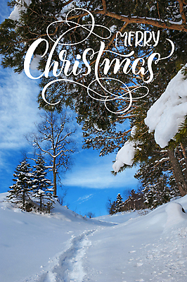 포토 JPG 해외이미지 나무 백그라운드 크리스마스 풍경 사람없음 레터링 해외202004 눈덮임 해외포토 식물 기념일 컨셉 파일형식 이미지허브
