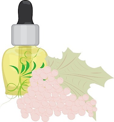 EPS 해외이미지 라이프스타일 백그라운드 일러스트 재료 포도 건강 씨앗 치료 약 스파 침묵 화장품 흰색 마사지 상품 컨테이너 허브 피부 향수 순수 향기 아로마 향 아로마테라피 테라피 조제 내추럴 고립 돌봄 에센스 자연요법 추출 치료제 해외202004 해외일러스트 식물 산업 컬러 컨셉 과일 의학 모션 생활 신체부위 뷰티 소리 냄새 만들기 파일형식 벡터 이미지허브