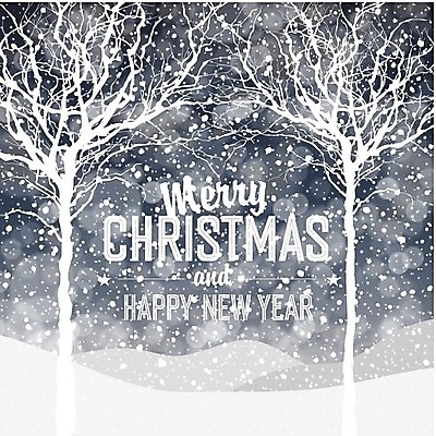 EPS 해외이미지 나무 디자인 배너 계절 행복 백그라운드 크리스마스 겨울 일러스트 공 자연 하늘 휴가 새로움 선물 미술 풍경 야외 장식 파란색 라벨 수확 흰색 축하 인사 신용카드 그리기 연도 복고 엽서 장면 해외202004 해외일러스트 식물 기념일 감정 컬러 컨셉 농업 모션 문화예술 프레임 금융 예절 편지 생태계 파일형식 벡터 이미지허브