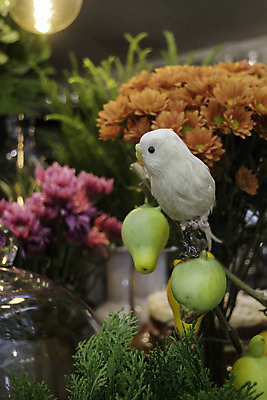 포토 JPG 해외이미지 식물 꽃 화분 잎 태국 휴식 사람없음 초록색 정원 꽃병 스파 페인트 봄 해외202004 해외포토 계절 아시아 컬러 컨셉 파일형식 이미지허브