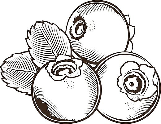 EPS 해외이미지 클립아트 음식 잎 라인일러스트 일러스트 포장 자연 디저트 요리 그래픽 장식 꼬리표 라벨 주방 식당 주스 수확 신선 맛 잼 먹기 그림 에코 유기농 복고 블루베리 배지 판화 통조림 내추럴 고립 목판화 숙성 월귤 채식주의자 해외202004 해외일러스트 식물 웰빙 음료 컨셉 농업 과일 모션 프레임 미술 환경 상점 소스_음식 생태계 채식 파일형식 벡터 이미지허브