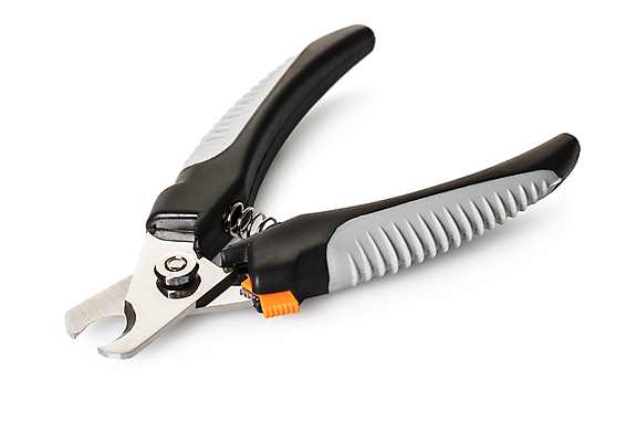 포토 JPG 해외이미지 동물 백그라운드 새로움 손잡이 사람없음 가로 반려동물 약 고양이 장비 흰색 공구 업무 못 닫기 개 매끈함 손톱관리 자르기 오브젝트 클립 날카로움 수의사 몸단장 송곳니 고립 돌봄 집게발 철강 커터 페디큐어 해외202004 해외포토 컬러 컨셉 포유류 의학 모션 뷰티 의사 도구 작업 감각 치아 네일아트 파일형식 이미지허브