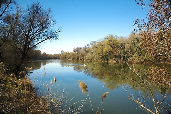 포토 JPG 해외이미지 나무 식물 공원 유럽 요트 자연 하늘 항해 풍경 사람없음 야외 물 여름 강 반사 마을 봄 젖음 저수지 도시 보트 개울 스페인 숲 상쾌 카누 선원 타운 레가타 항해사 해외202004 해외포토 자연요소 직업 계절 공공시설 감정 나라 배_교통 수상스포츠 생태계 파일형식 이미지허브