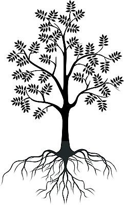 EPS 해외이미지 나무 동물 디자인 실루엣 야생동물 백그라운드 잎 꽃무늬 일러스트 가족 자연 벽지 조류 결혼식 발렌타인데이 매달리기 사랑 미술 야외 장식 반려동물 귀여움 정원 검은색 봄 수확 소용돌이 축하 인사 우아함 달콤 숲 감옥 열정 새장 엘리먼트 해외202004 해외일러스트 식물 계절 꽃 감정 컬러 결혼 컨셉 무늬 농업 관계 모션 데이이벤트 문화예술 촬영기법 회오리 예절 맛 생태계 케이지 파일형식 벡터 이미지허브