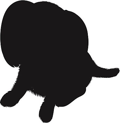 EPS 해외이미지 클립아트 동물 한마리 디자인 행복 실루엣 일러스트 컴퓨터그래픽 반려동물 컬러풀 머리 환경 검은색 가축 흰색 개 리트리버 강아지 시원함 만화 자르기 래브라도리트리버 가득함 심볼 서비스 그림 송곳니 고립 깊이 오해 강조 해외202004 해외일러스트 1 감정 컬러 포유류 모션 촬영기법 신체부위 그래픽 치아 파일형식 벡터 이미지허브