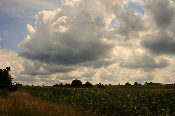 포토 JPG 해외이미지 구름 밭 농업 자연 하늘 바람 풍경 사람없음 야외 초록색 여름 파란색 농장 농경지 평화 맑음 수확 흰색 시골 큼 엽서 내추럴 밭일 수평선 목가 해외202004 해외포토 자연요소 계절 산업 컬러 컨셉 날씨 크기 편지 생태계 파일형식 이미지허브
