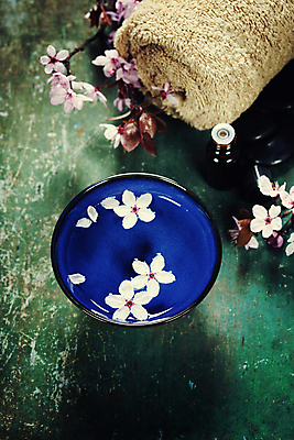 포토 JPG 해외이미지 꽃 백그라운드 건강 사람없음 목재 세로 수건 갈색 스파 벚꽃 흰색 마사지 체리 고급 닫기 피부관리 아로마 소금 부드러움 비누 테라피 내추럴 해외202004 해외포토 나무 식물 컬러 컨셉 과일 재료 모션 위생용품 뷰티 감각 파일형식 이미지허브