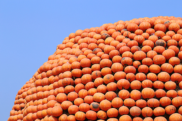 포토 JPG 해외이미지 식물 구름 계절 음식 줄기 백그라운드 밭 농업 채소 오렌지 과일 장난 자연 하늘 호박 휴가 사람없음 야외 목재 장식 초록색 파란색 빛 세트 농장 쌓기 축제 할로윈 수확 가을 흰색 축하 신선 시장 볏짚 나무상자 11월 다발 날것 박 반대 흙더미 10월 숙성 많음 해외202004 해외포토 자연요소 나무 산업 컬러 컨셉 재료 모션 상자 흙 날짜 짚 생태계 파일형식 더미 이미지허브