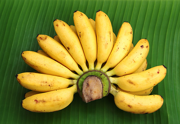 포토 JPG 해외이미지 라이프스타일 음식 백그라운드 잎 농업 다이어트 채소 과일 재료 자연 바나나 건강 사람없음 초록색 노란색 활발 껍질 신선 그룹 달콤 맛 아침식사 다발 먹기 피부 오브젝트 상쾌 유기농 날것 칼로리 내추럴 강렬 고립 숙성 채식주의자 해외202004 해외포토 식물 웰빙 감정 산업 컬러 컨셉 모션 생활 신체부위 식사 생태계 채식 파일형식 이미지허브