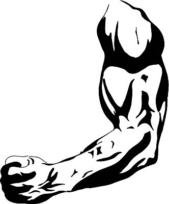 EPS 해외이미지 손 디자인 남자 스포츠 패턴 일러스트 근육 건강 숫자 힘 주먹 그리기 손목 그림 압축 이두근 해외202004 해외일러스트 문자 무늬 모션 사람 신체부위 파일형식 벡터 이미지허브