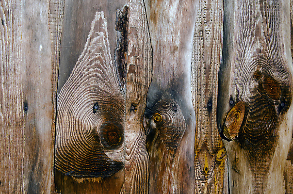 포토 JPG 해외이미지 벽 백그라운드 건축양식 표면 추상 사람없음 목재 갈색 회색 시골 널 파편 묘사 옛날 중고 해외202004 해외포토 나무 건축 컬러 무늬 재료 파일형식 이미지허브