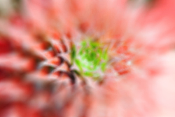 포토 JPG 해외이미지 모양 디자인 선 백그라운드 이동 패턴 일러스트 벽지 추상 왕관 미술 사람없음 그래픽 장식 초록색 컬러풀 활발 흐름 소용돌이 파인애플 강렬 해외202004 해외포토 컬러 컨셉 무늬 과일 문화예술 회오리 열대과일 파일형식 이미지허브