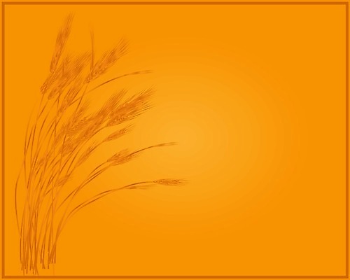 EPS 해외이미지 식물 디자인 배너 계절 빵 백그라운드 잎 패턴 밭 농업 일러스트 비즈니스 자연 벽지 추상 휴가 옥수수 미술 씨앗 장식 빛 농작물 농장 노란색 수확 가을 시골 인사 황금 낟알 시리얼 밀 심볼 그림 귀 엘리먼트 호밀 해외202004 해외일러스트 산업 음식 컬러 무늬 문화예술 곡류 신체부위 예절 생태계 파일형식 벡터 이미지허브
