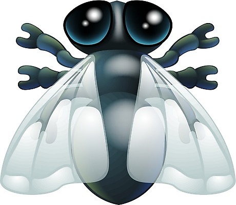 EPS 해외이미지 동물 캐릭터 디자인 행복 곤충 백그라운드 일러스트 자연 안테나 미술 검은색 봄 흰색 해충 벌레 작음 만화 심볼 그림 고립 해외202004 해외일러스트 일러캐릭터 계절 감정 컬러 통신 문화예술 크기 생태계 파일형식 벡터 이미지허브