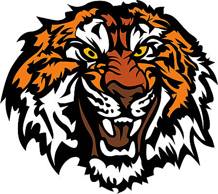 EPS 해외이미지 동물 얼굴 스포츠 일러스트 학교 수염 그래픽 머리 고양이 줄무늬 호랑이 육식동물 마스코트 해외202004 해외일러스트 교육 무늬 포유류 신체부위 반려동물 파일형식 벡터 이미지허브