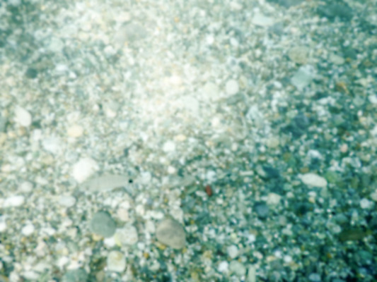 포토 JPG 해외이미지 모양 호수 벽 파도 바다 백그라운드 패턴 자연 벽지 조류 해변 사람없음 장식 물 빛 강 수중 회색 조약돌 매끈함 소프트포커스 작음 큼 땅 아래 질감 보케 장면 암초 크로아티아 흙더미 땅바닥 해외202004 해외포토 자연요소 동물 유럽 컬러 무늬 바닥 촬영기법 흙 돌_바위 감각 크기 방향 생태계 위치 파일형식 더미 이미지허브