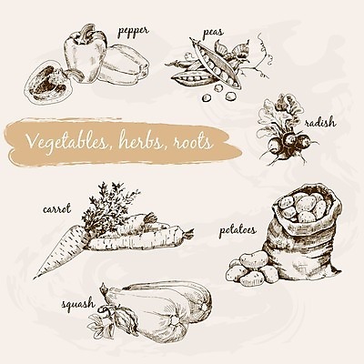 EPS 해외이미지 디자인 음식 다이어트 채소 일러스트 감자 파프리카 건강 요리 그래픽 장식 세트 정원 당근 수확 성장 신선 그리기 맛 낙서 수집 허브 그림 에코 완두콩 뿌리 손그림 스쿼시 바이오 엘리먼트 옛날 주키니호박 채식주의자 총각무 비건 해외202004 해외일러스트 식물 스포츠 컨셉 농업 모션 콩 뿌리채소 구기 환경 무 채식 파일형식 벡터 이미지허브