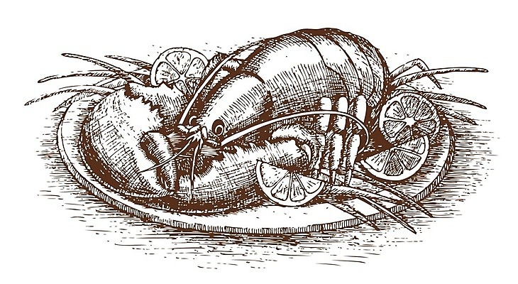 EPS 해외이미지 동물 접시 음식 바다 조각 일러스트 양파 조개 생물 귤 요리 미술 그래픽 빨간색 갈색 식당 신선 잡기 먹이 바닷가재 스케치 레몬 허브 무역 그림 암 갑옷 집게발 해외202004 해외일러스트 식물 식기 산업 컬러 채소 과일 모션 문화예술 어패류 상점 질병 보호장비 가재 파일형식 벡터 이미지허브