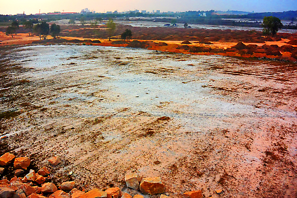 포토 JPG 해외이미지 나무 동물 아시아 돈 밭 농업 오렌지 아프리카 태국 동양인 풍경 사람없음 빨간색 글로벌 환경 중국 흙 재활용 손상 시골 변화 숲 부식 인도네시아 먼지 캄보디아 개발 밭일 생태학 파키스탄 해외202004 해외포토 식물 교육 나라 산업 컬러 컨셉 과일 인종 재산 친환경 파일형식 이미지허브