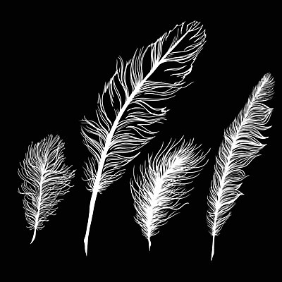 EPS 해외이미지 식물 디자인 실루엣 아들 패턴 일러스트 자연 조류 성공 추상 산 미술 장식 유행 평화 보라색 검은색 꿈 수확 흰색 직물 신비 깃털 유기농 질감 복고 마법 그런지 쉬운 해외202004 해외일러스트 동물 웰빙 컬러 컨셉 무늬 농업 가족 문화예술 촬영기법 생태계 파일형식 벡터 이미지허브