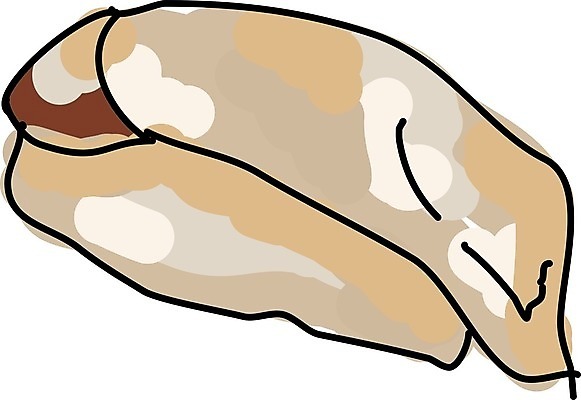 EPS 해외이미지 디자인 문화 음식 백그라운드 스티커 잎 패턴 일러스트 밥 새우 요리 미술 동양인 타이포그라피 세트 식당 계란 일본 식사 저녁식사 초밥 신선 고명 신용카드 해조류 만화 참치 먹기 심볼 해산물 메뉴 준비 날것 연어 동쪽 점심식사 캐리커처 캐비아 해외202004 해외일러스트 식물 문자 아시아 무늬 식재료 모션 문화예술 갑각류 어류 인종 금융 상점 알 해양식물 방향 그림 일본음식 파일형식 벡터 이미지허브