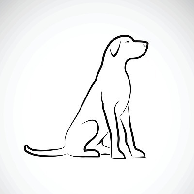 EPS 해외이미지 라인일러스트 일러스트 사람없음 반려동물 검은색 흰색 개 강아지 래브라도리트리버 해외202004 해외일러스트 동물 컬러 포유류 리트리버 파일형식 벡터 이미지허브