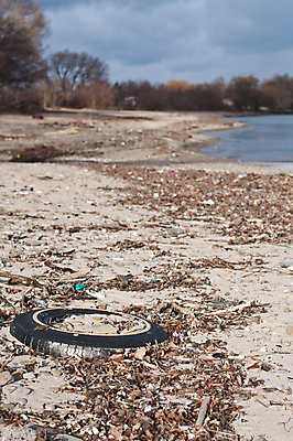 포토 JPG 해외이미지 나무 호수 모래 사람없음 야외 세로 환경 쓰레기 폐기물 파편 거절 타이어 고무 낭비 구식 옛날 해외202004 해외포토 식물 컨셉 파일형식 이미지허브