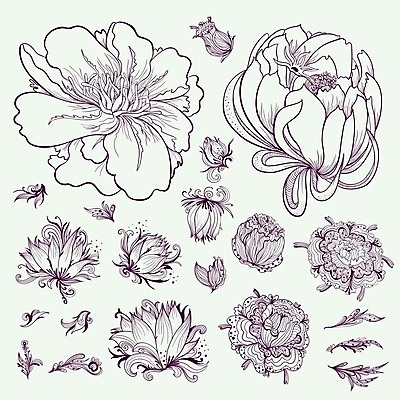 EPS 해외이미지 모양 식물 디자인 계절 꽃 실루엣 선 백그라운드 잎 꽃무늬 일러스트 자연 연꽃 장식 여름 세트 연필 검은색 봄 수확 벚꽃 흰색 나뭇가지 체리 낙서 백합 스케치 수집 그림 데이지 윤곽 내추럴 고립 바로크 엘리먼트 작약 히피 스타일 해외202004 해외일러스트 나무 컬러 무늬 농업 과일 학용품 촬영기법 미술 필기구 생태계 파일형식 벡터 이미지허브