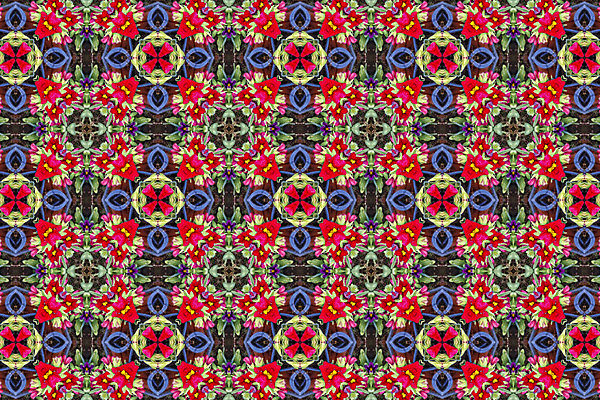 포토 JPG 해외이미지 디자인 꽃잎 꽃 백그라운드 꽃무늬 패턴 자연 추상 프레임 미술 사람없음 유행 거울 질감 대칭 만화경 해외202004 해외포토 식물 무늬 문화예술 장난감 생태계 파일형식 이미지허브