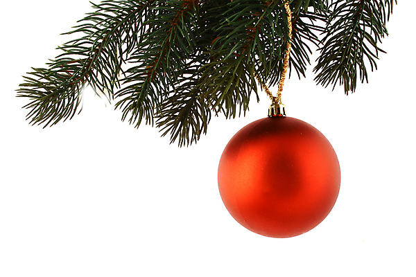 포토 JPG 해외이미지 나무 계절 잎 크리스마스 겨울 공 휴가 새해 기념 사람없음 장식 빨간색 빛 축제 축하 오브젝트 상록수 마법 해외202004 해외포토 식물 기념일 컬러 컨셉 파일형식 이미지허브