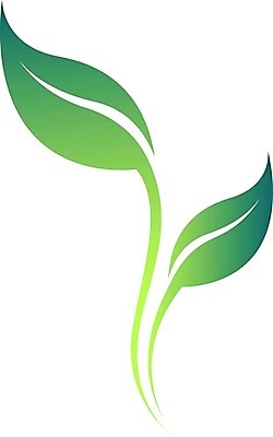 EPS 해외이미지 모양 식물 디자인 실루엣 커피 컨셉 단풍 잎 꽃무늬 곡선 일러스트 자연 추상 미술 그래픽 여름 세트 환경 검은색 봄 소용돌이 가을 흰색 차 심볼 사인 그림 브런치 윤곽 내추럴 고립 떠남 엘리먼트 스타일 해외202004 해외일러스트 계절 꽃 음료 선 컬러 무늬 모션 문화예술 촬영기법 식사 회오리 생태계 파일형식 벡터 이미지허브