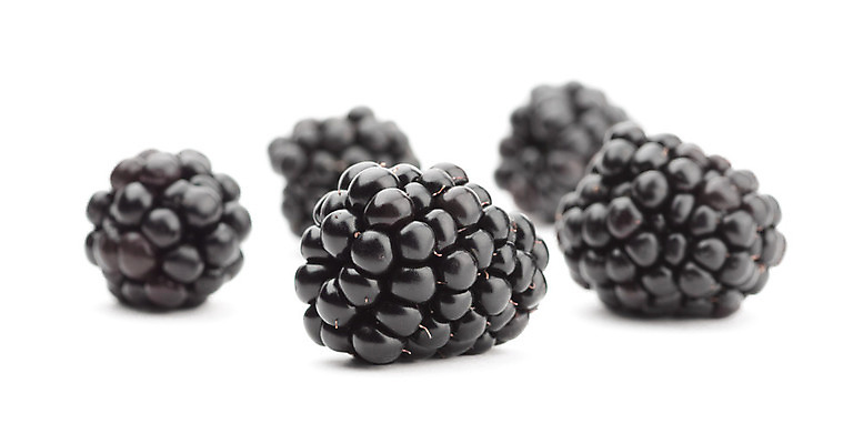 포토 JPG 해외이미지 계절 열매 음식 백그라운드 잎 과일 재료 자연 건강 사람없음 가로 검은색 주스 달콤 숲 먹기 오브젝트 상쾌 유기농 향기 슛 블랙베리 고립 숙성 채식주의자 해외202004 해외포토 식물 웰빙 감정 음료 컬러 모션 맛 생태계 채식 냄새 파일형식 이미지허브