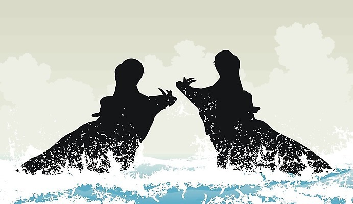 EPS 해외이미지 동물 실루엣 야생동물 포즈 일러스트 포유류 아프리카 자연 물 경쟁 떨어짐 자르기 사파리 싸움 하마 공격적 해외202004 해외일러스트 자연요소 나라 컨셉 모션 촬영기법 생태계 파일형식 벡터 이미지허브