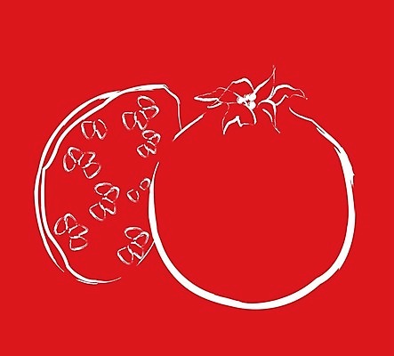 EPS 해외이미지 음식 낙엽 과일 일러스트 재료 자국 건강 씨앗 빨간색 침묵 주스 신선 오픈 낟알 자르기 먹기 관목 자루 석류 동쪽 노출 수류탄 그라나다 루비 숙성 식용 이란 더스트파티클 해외202004 해외일러스트 나무 식물 무기 음료 컬러 잎 중동 모션 소리 스페인 보석 방향 파일형식 벡터 이미지허브