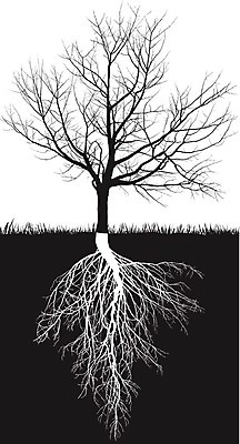 EPS 해외이미지 나무 식물 과일 일러스트 자연 환경 정원 성장 나뭇가지 체리 과수원 그림 뿌리 해외202004 해외일러스트 농업 생태계 파일형식 벡터 이미지허브