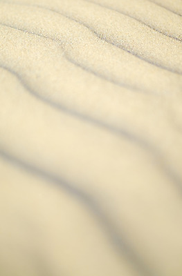 포토 JPG 해외이미지 디자인 물결 선 모래 여행 백그라운드 패턴 자연 바람 추상 휴가 건조 사람없음 야외 갈색 노란색 사막 황금 모래언덕 묘사 질감 생태학 해외202004 해외포토 자연요소 교육 컬러 무늬 날씨 언덕 생태계 파일형식 이미지허브