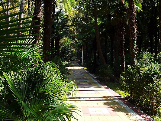 포토 JPG 해외이미지 나무 계절 공원 길 여행 백그라운드 잎 자연 하늘 풍경 사람없음 목재 초록색 여름 햇빛 정원 맑음 시골 도시 숲 러시아 해외202004 해외포토 식물 공공시설 유럽 컬러 재료 날씨 태양 생태계 파일형식 이미지허브