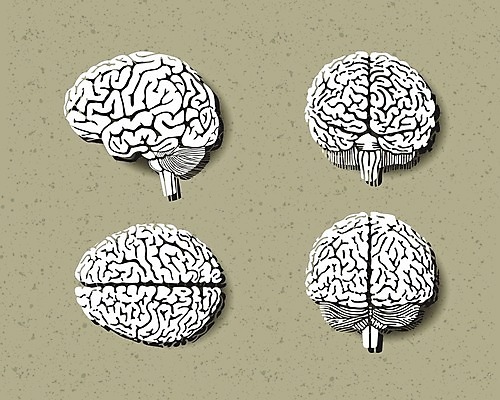 EPS 해외이미지 종이 과학 백그라운드 일러스트 해부 사람 그래픽 약 머리 검은색 흰색 마음 감각 오르간 불안 문신 심볼 뇌 시스템 고립 해외202004 해외일러스트 감정 컬러 의학 신체부위 건반악기 파일형식 벡터 이미지허브