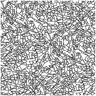 EPS 해외이미지 나무 식물 디자인 계절 잎 패턴 일러스트 자연 검은색 가을 흰색 심볼 흰배경 그림 질감 고립 엘리먼트 해외202004 해외일러스트 컬러 백그라운드 무늬 생태계 파일형식 벡터 이미지허브