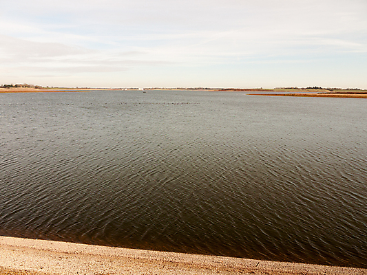 포토 JPG 해외이미지 계절 물결 야생동물 파도 바다 여행 백그라운드 자연 조류 하늘 표면 바람 풍경 사람없음 야외 목재 물 여름 파란색 햇빛 태양 평화 우주 환경 항구 화목 침묵 봄 추위 자유 오픈 가장자리 심플 장면 내추럴 잔물결 수평선 해외202004 해외포토 자연요소 나무 동물 컬러 컨셉 재료 교통시설 날씨 소리 둘레 생태계 파일형식 이미지허브