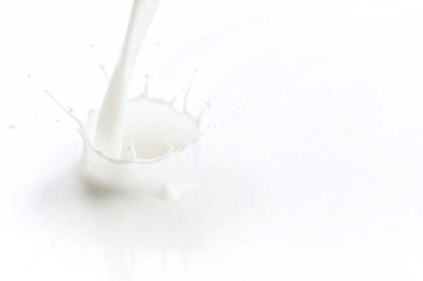 포토 JPG 스튜디오촬영 백그라운드 컨셉 물줄기 실내 순간포착 사람없음 우유 물방울 액체 떨어짐 액체표현 국내포토 유제품 촬영기법 내부 물 파일형식