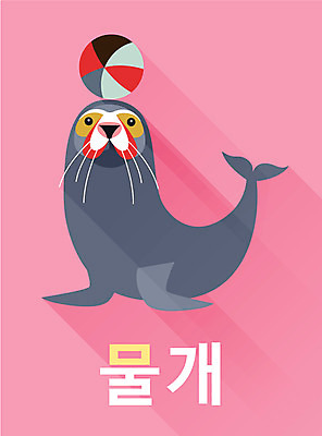 동물 교육 백그라운드 일러스트 한글 사람없음 단어 귀여움 물개 낱말카드 교육자료 국내일러스트 AI파일 카드프레임 문자 컨셉 포유류 프레임 자료 바다동물 교구 파일형식 벡터