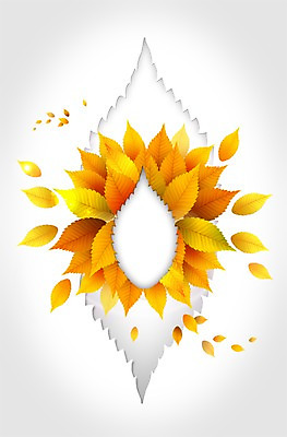 PSD 편집 편집이미지 계절 낙엽 나뭇잎 프레임 풍경 사람없음 가을 이미지편집 잎 파일형식