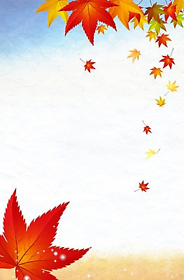 PSD 편집 편집이미지 계절 단풍 프레임 풍경 사람없음 가을 이미지편집 잎 파일형식