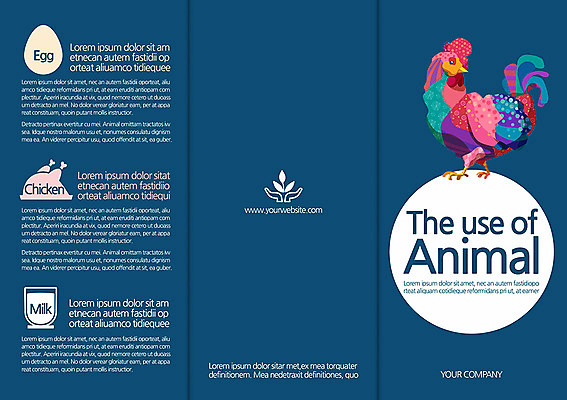 동물 템플릿 편집 한마리 표지디자인 북디자인 표지 리플렛 백그라운드 북커버 3단접지 조류 팜플렛 사람없음 계란 치킨 닭고기 가축 우유 닭 식용 이미지템플릿 AI파일 1 유제품 육류 알 닭고기요리 파일형식 벡터