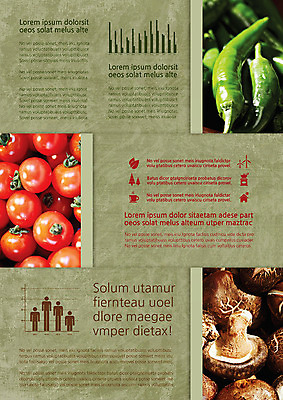 나무 템플릿 편집 표지디자인 북디자인 웰빙 내지 커피 음식 리플렛 백그라운드 채소 북커버 3단접지 방울토마토 고추 그래프 나뭇잎 주택 사람모양 팜플렛 사람없음 컵 버섯 풍차 친환경 유기농 그라인더 이미지템플릿 AI파일 모양 식물 식기 음료 잎 토마토 건물 환경 커피용품 파일형식 벡터