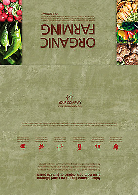 나무 템플릿 편집 표지디자인 북디자인 웰빙 표지 커피 음식 리플렛 백그라운드 채소 북커버 3단접지 고추 나뭇잎 주택 팜플렛 사람없음 컵 풍차 무 친환경 유기농 그라인더 생강 적환무 이미지템플릿 AI파일 식물 식기 음료 잎 뿌리채소 건물 환경 커피용품 파일형식 벡터